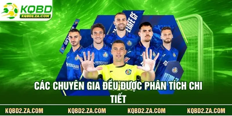 Các chuyên gia đều được phân tích chi tiết