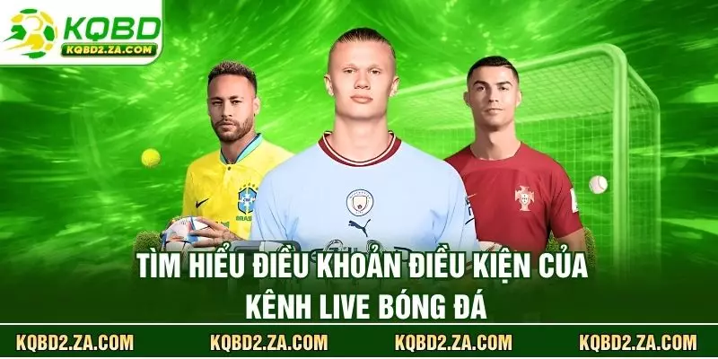 Tìm hiểu điều khoản điều kiện của kênh live bóng đá